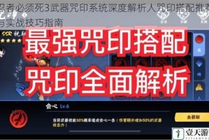 忍者必须死3武器咒印系统深度解析人咒印搭配推荐与实战技巧指南