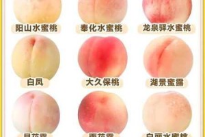 如何获取水蜜桃 817 高清图片？哪里能找到水蜜桃 817 高清图片？