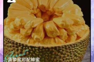 菠萝菠萝蜜在线观看：为什么看不了？如何解决？