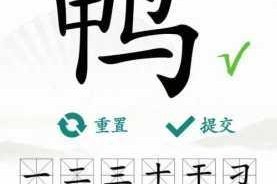 汉字找茬王尫字拆分攻略解析17个常见字技巧与详细教学指南