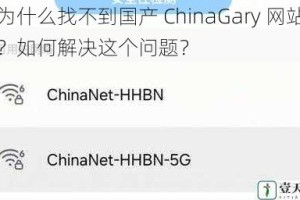 为什么找不到国产 ChinaGary 网站？如何解决这个问题？