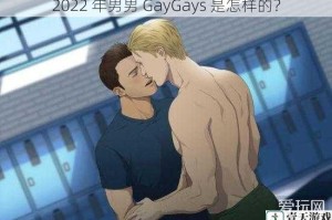 2022 年男男 GayGays 是怎样的？
