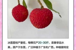 荔枝 app 官网在线入口怎么找？