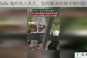 8x8x 海外华人永久，如何解决视频卡顿问题？