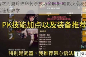 英魂之刃夏玲致命刺杀技巧全解析 暗影突袭秘技与实战连招教学