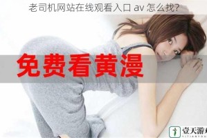 老司机网站在线观看入口 av 怎么找？
