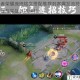 王者荣耀庞统铭文搭配推荐刺客爆发流符文选择与实战技巧解析