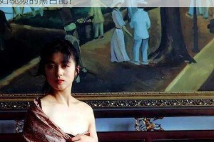 在茫茫片海中，如何找到日本三级、欧美三级、人妇视频的黑白配？