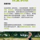 科学有效的体力恢复方法大揭秘 助你快速重拾活力与充沛精力