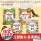 圣火文明双开多开方法详解及助手工具安装下载步骤分享