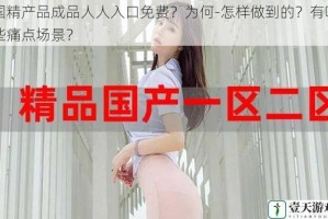国精产品成品人人入口免费？为何-怎样做到的？有哪些痛点场景？