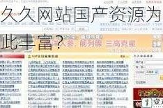 热久久网站国产资源为何如此丰富？