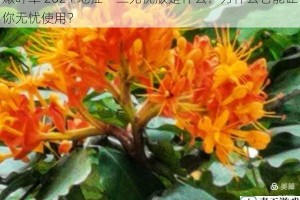 嫩叶草 2024 地扯一二无忧版是什么？为什么它能让你无忧使用？