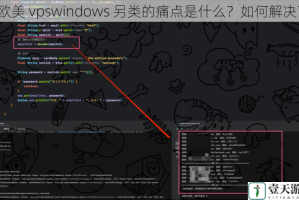 欧美 vpswindows 另类的痛点是什么？如何解决？
