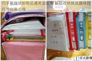 巧手整理缤纷物品通关全指南 解锁收纳挑战趣味技巧与创意心得