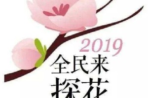 探花是否涉及违法行为？如何保障参与者的权益？