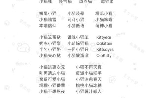 猫咪 MV 最新地域网名怎么取？怎样取到适合的猫咪 MV 地域网名？