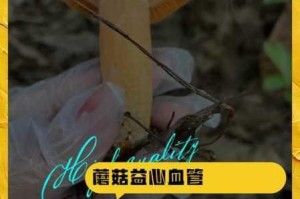 蘑菇成品人视频 m8u3 入口在哪里？如何找到蘑菇成品人视频 m8u3 入口？