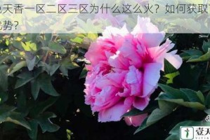 国色天香一区二区三区为什么这么火？如何获取？有何优势？