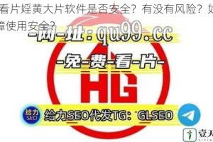 91 看片婬黄大片软件是否安全？有没有风险？如何保障使用安全？