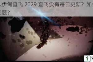 为什么伊甸直飞 2029 直飞没有每日更新？如何解决这个问题？