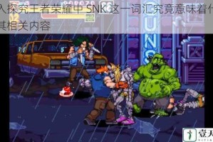 深入探究王者荣耀中 SNK 这一词汇究竟意味着什么及其相关内容
