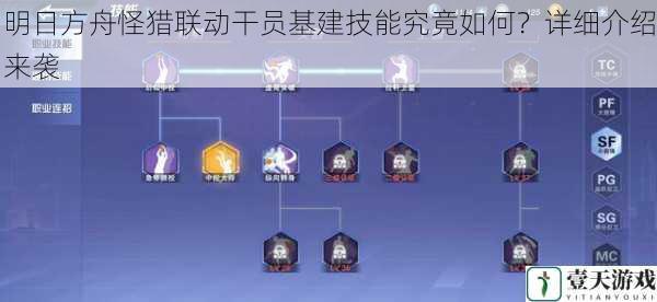 技能实用性