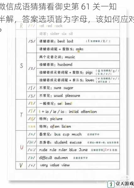 分析字母选项的规律