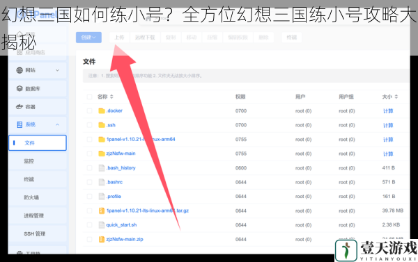 选择合适的服务器