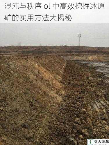 选择合适的挖掘地点