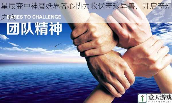 团队协作的力量