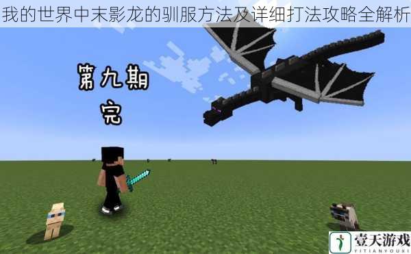 了解末影龙的习性