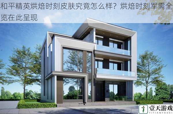 外观设计