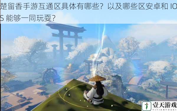 楚留香手游互通区具体有哪些?以及哪些区安卓和 IOS 能够一同玩耍?
