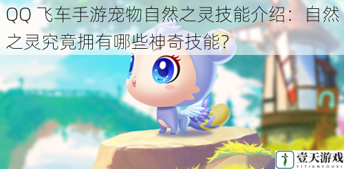 QQ 飞车手游宠物自然之灵技能介绍:自然之灵究竟拥有哪些神奇技能?