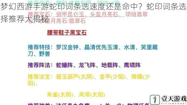 梦幻西游手游蛇印词条选速度还是命中?蛇印词条选择推荐大揭秘