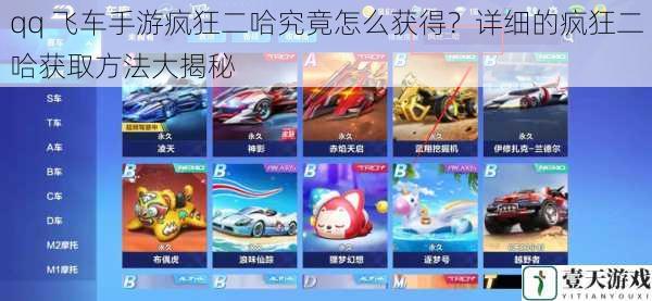 qq 飞车手游疯狂二哈究竟怎么获得?详细的疯狂二哈获取方法大揭秘