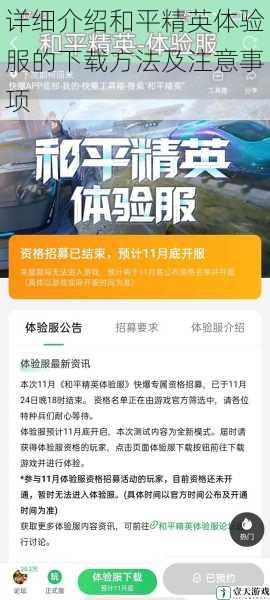 详细介绍和平精英体验服的下载方法及注意事项