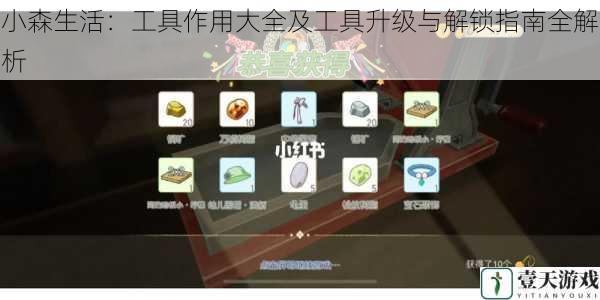 小森生活:工具作用大全及工具升级与解锁指南全解析