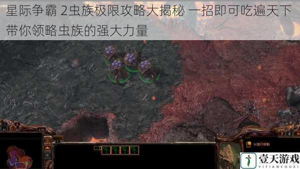 星际争霸 2虫族极限攻略大揭秘 一招即可吃遍天下 带你领略虫族的强大力量