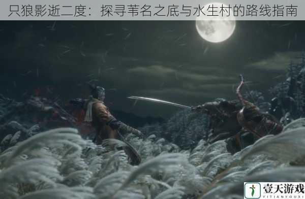 只狼影逝二度:探寻苇名之底与水生村的路线指南