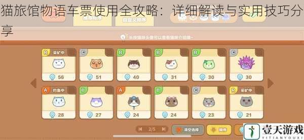 猫旅馆物语车票使用全攻略:详细解读与实用技巧分享