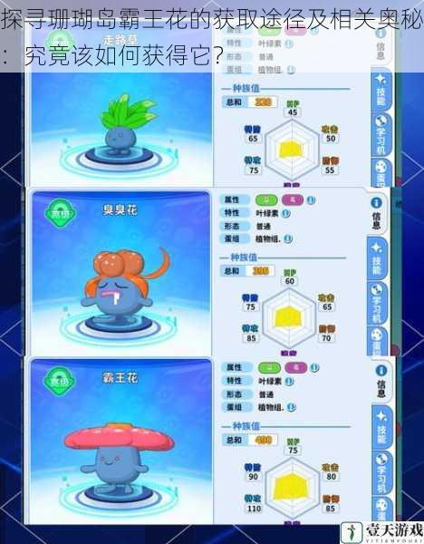 探寻珊瑚岛霸王花的获取途径及相关奥秘:究竟该如何获得它?