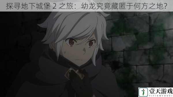 探寻地下城堡 2 之旅:幼龙究竟藏匿于何方之地?