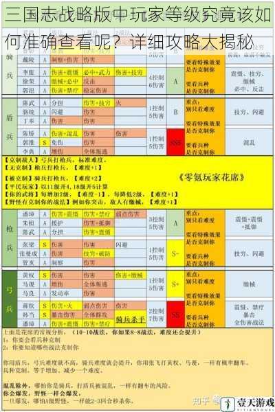 三国志战略版中玩家等级究竟该如何准确查看呢?详细攻略大揭秘