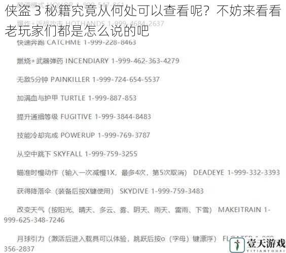 侠盗 3 秘籍究竟从何处可以查看呢?不妨来看看老玩家们都是怎么说的吧