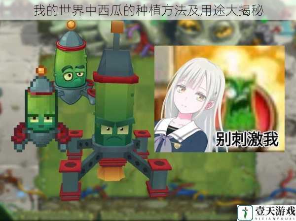 我的世界中西瓜的种植方法及用途大揭秘