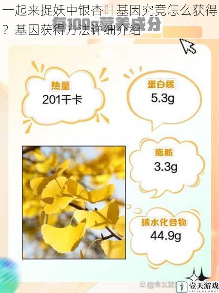 一起来捉妖中银杏叶基因究竟怎么获得?基因获得方法详细介绍