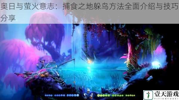 奥日与萤火意志:捕食之地躲鸟方法全面介绍与技巧分享