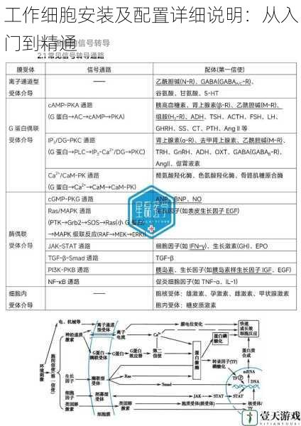 工作细胞安装及配置详细说明:从入门到精通